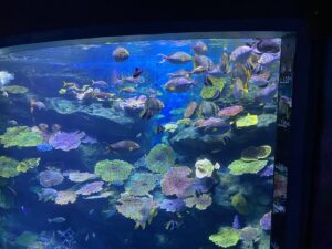 Sea Life Oceanium in Bangkok 